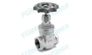 BSP female/female gate valves stainless steel 316